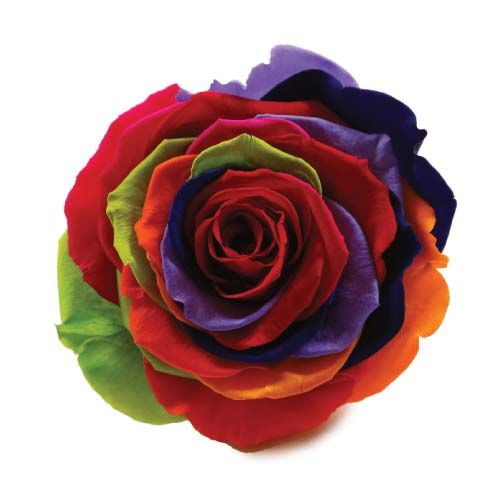 Timeless Elegance - Bouquet of 2 Eternal Roses with Eucalyptus - Customizable