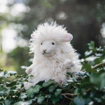 Beryl le mouton