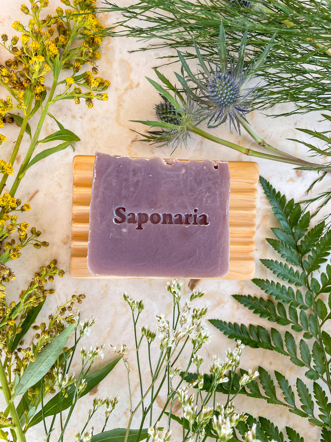 Savon – Chardon des près