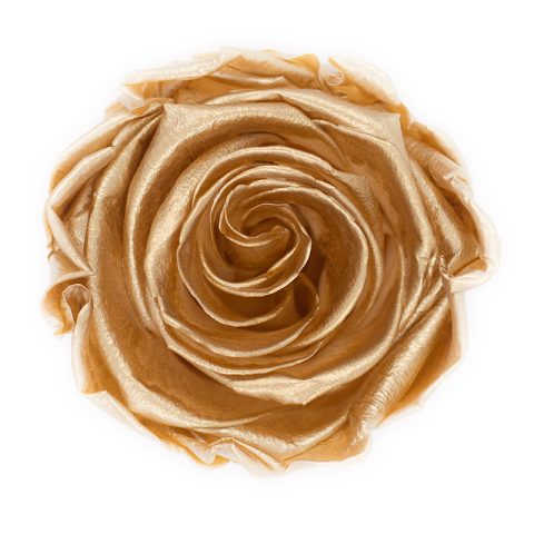 Timeless Elegance - Bouquet of 2 Eternal Roses with Eucalyptus - Customizable