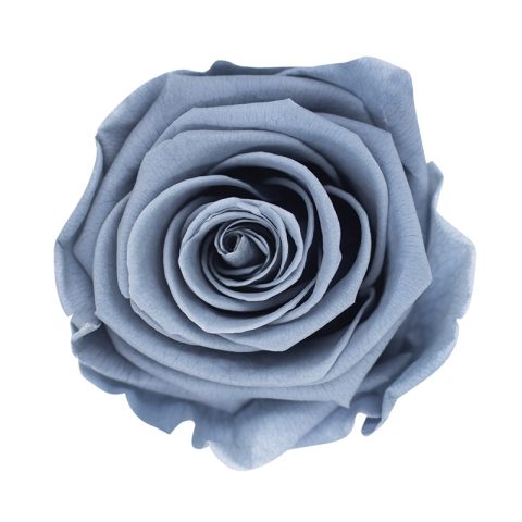 Élégance Intemporelle - Bouquet de 2 Roses Éternelles avec eucalyptus Personnalisables
