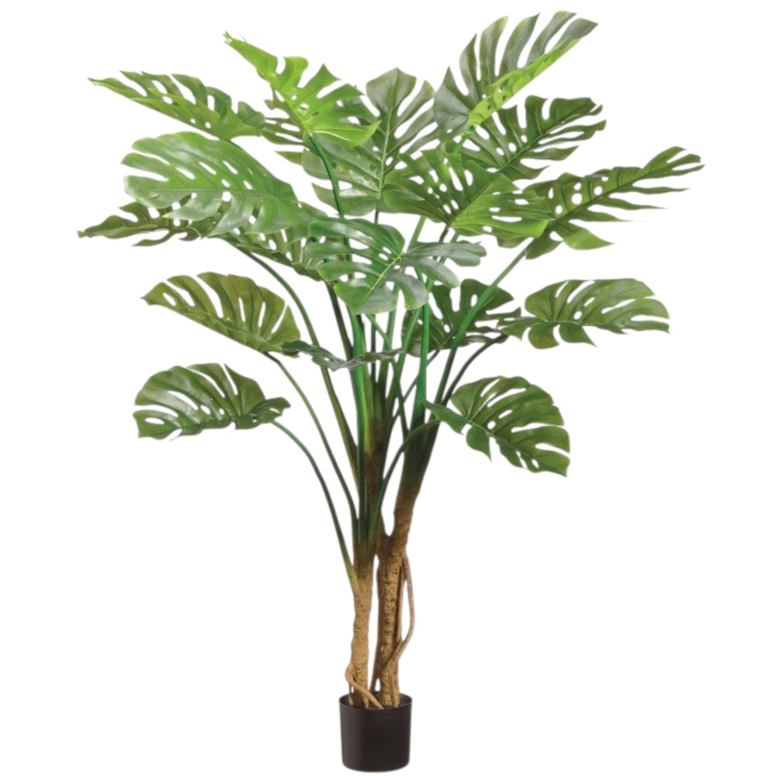 Monstera Artificielle Grand Modèle – 71 pouces