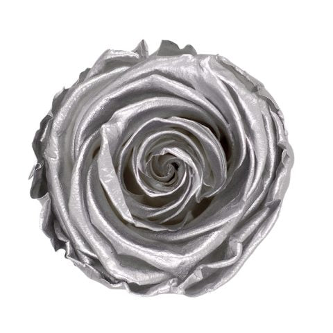 Élégance Intemporelle - Bouquet de 2 Roses Éternelles avec eucalyptus Personnalisables