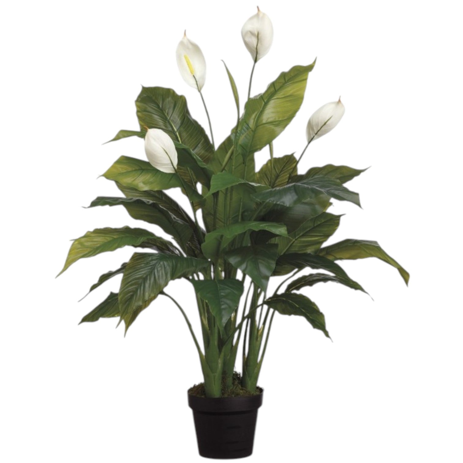 Spathiphyllum Artificiel (Lys de la paix) – 42 pouces