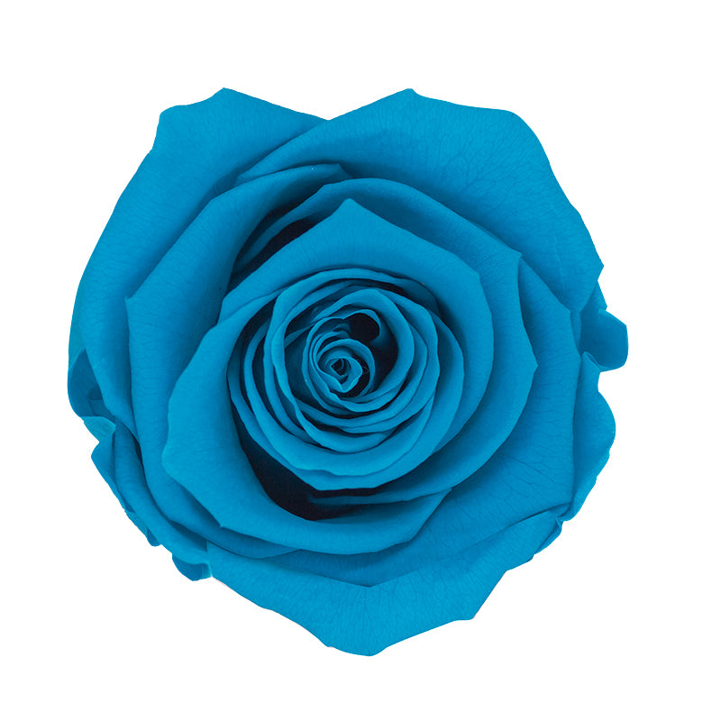 Élégance Intemporelle - Bouquet de 2 Roses Éternelles avec eucalyptus Personnalisables