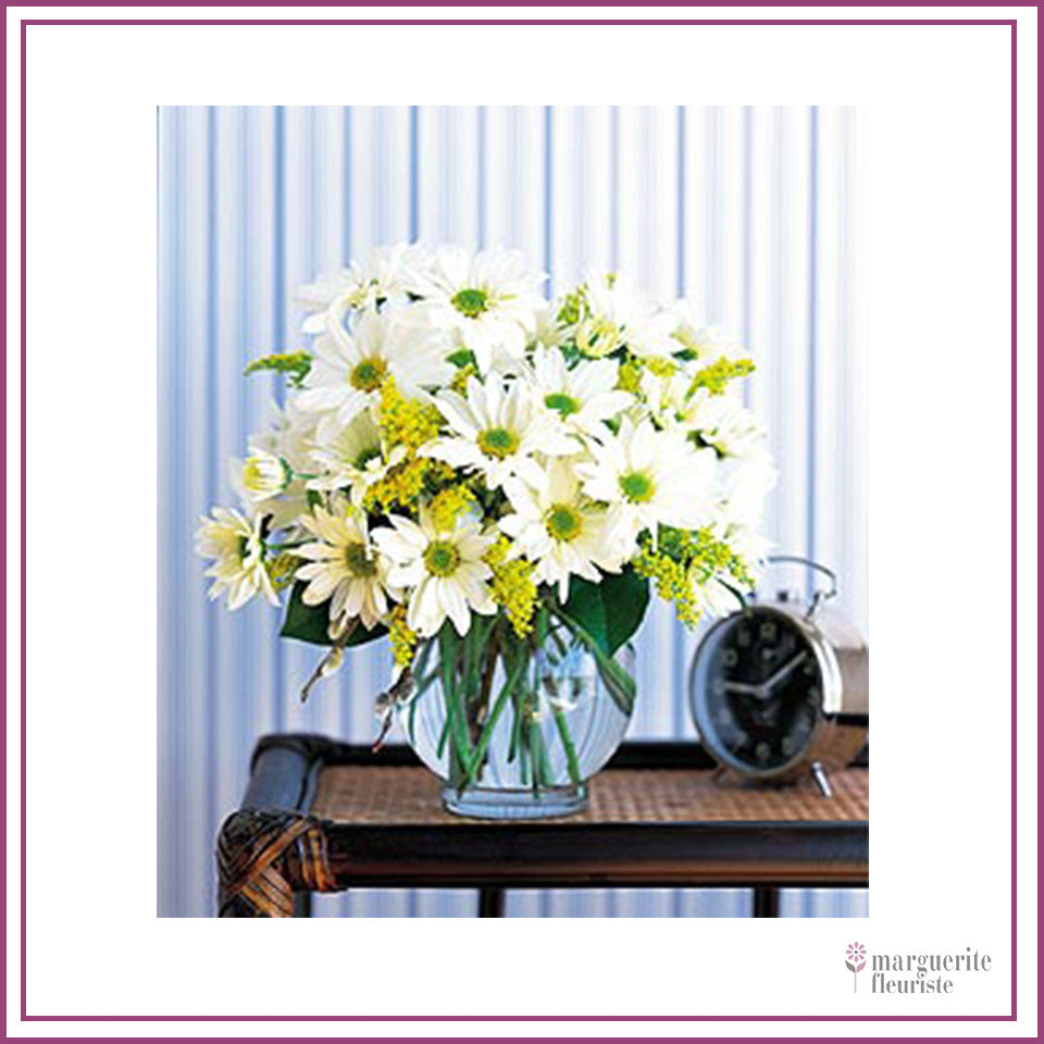 Bouquet Marguerite Blanche
