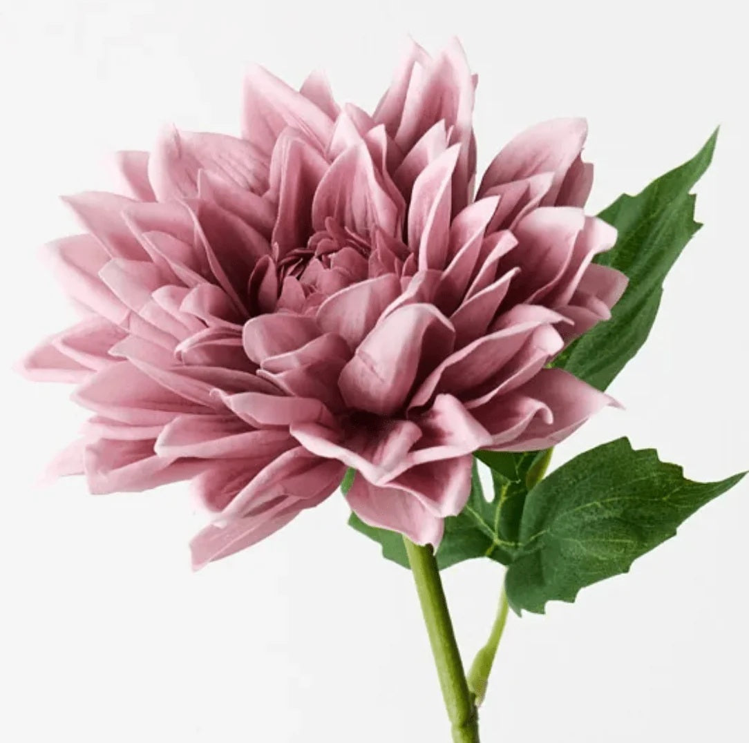 Dahlia rose 29 3/4"