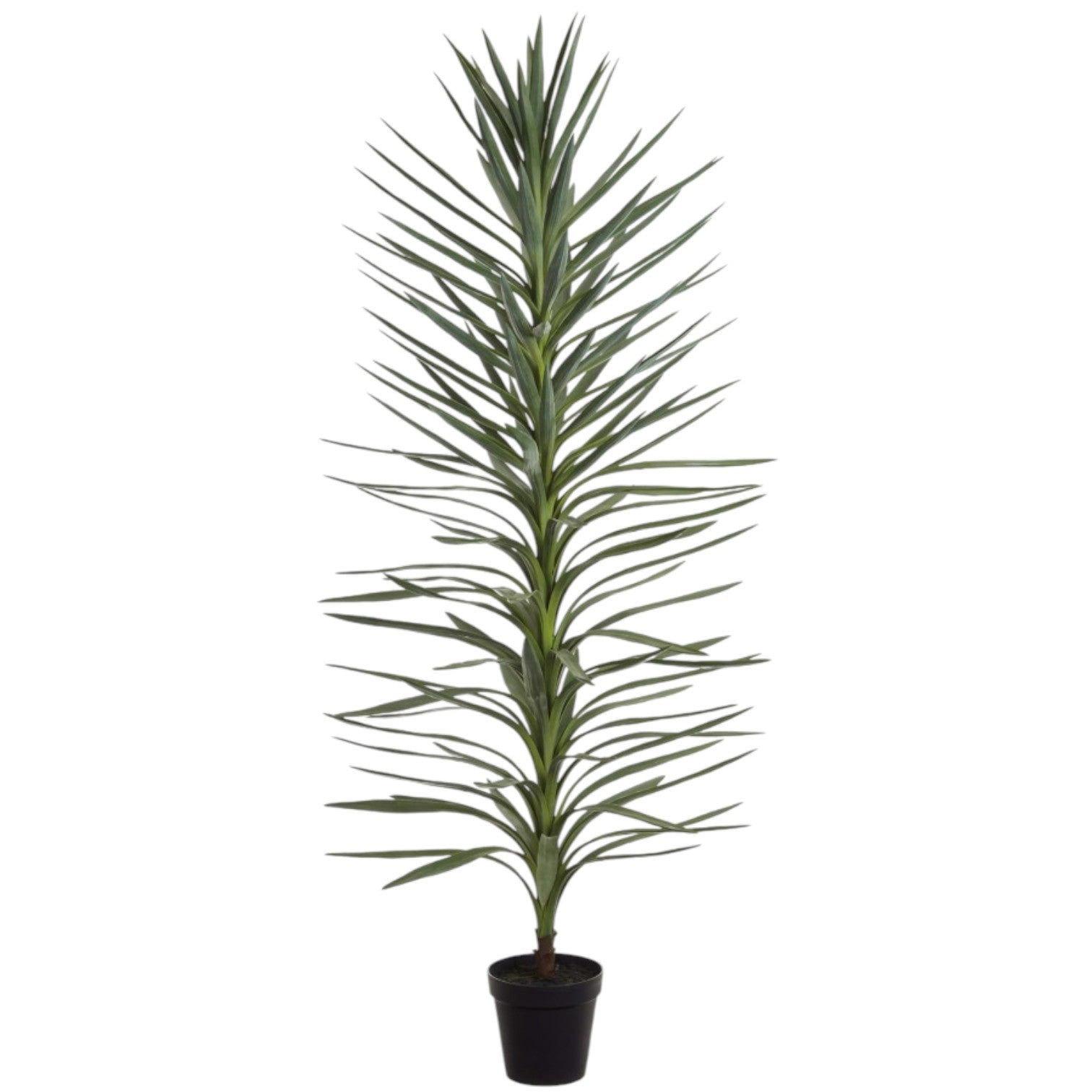 Yucca Élancé Artificiel – 72 pouces