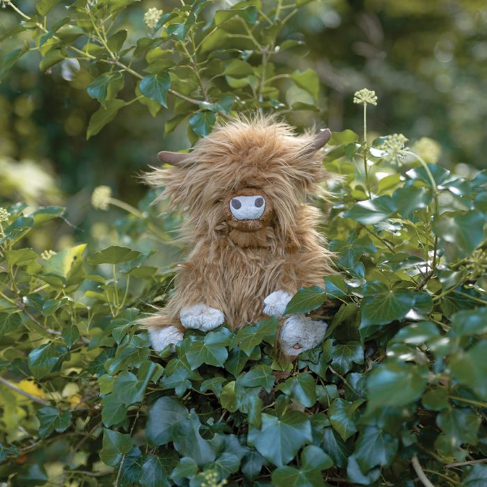 Gordon La vache Highland