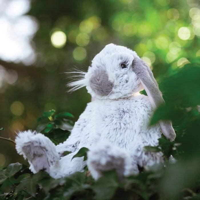 Rosie Le Lapin