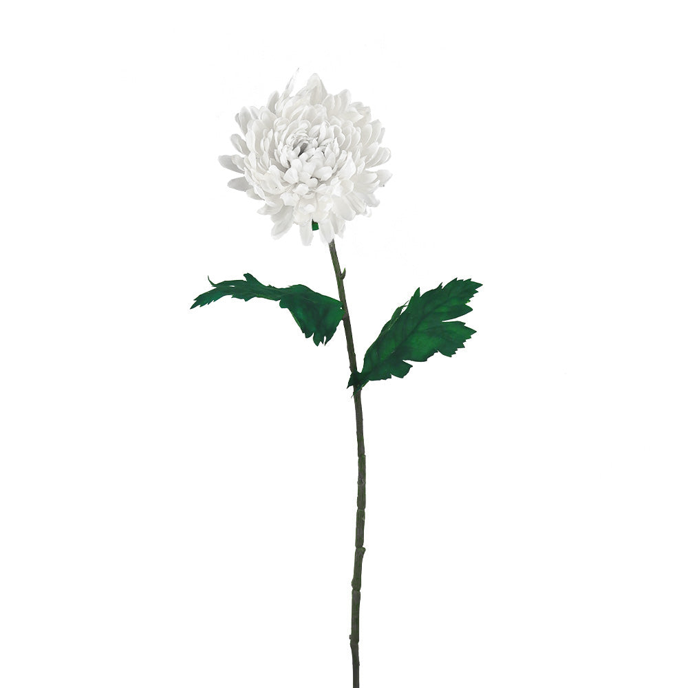 CHRYSANTHÈME, BLANCHE, 28", PQT(4)