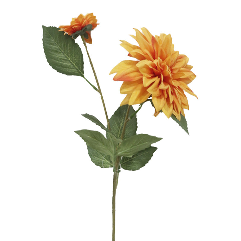 TIGE DE DAHLIA (2 FLEURS), ORANGE, 24&