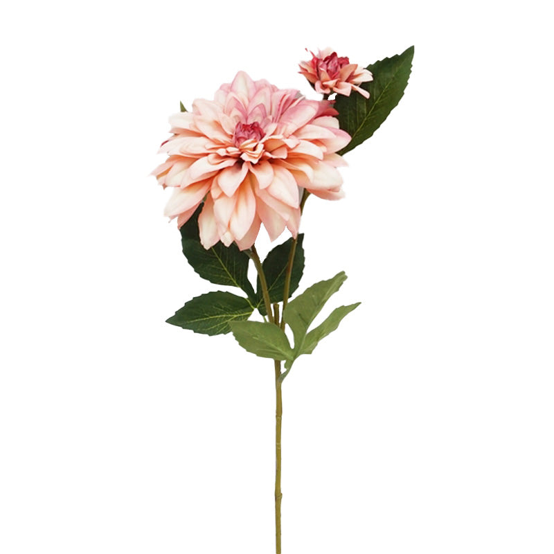 TIGE DE DAHLIA (2 FLEURS), ROSE PÂLE, 24&