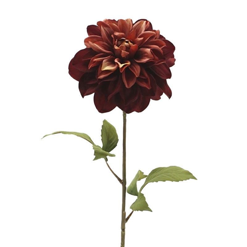 Dahlia Rouge Foncé 29 3/4"