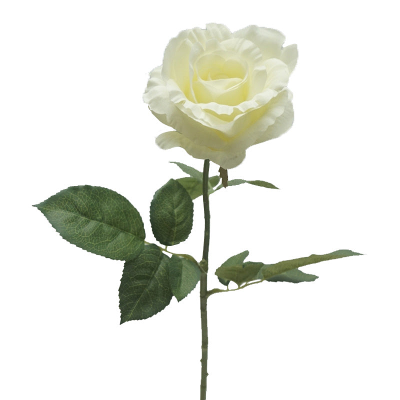 TIGE DE ROSE, CRÈME, 25&