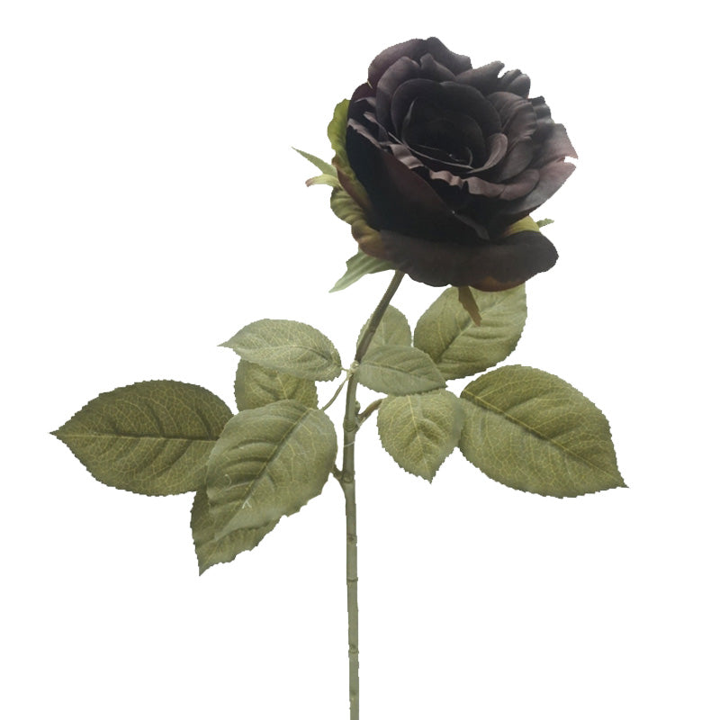 TIGE DE ROSE, ROUGE FONCÉ, 25&
