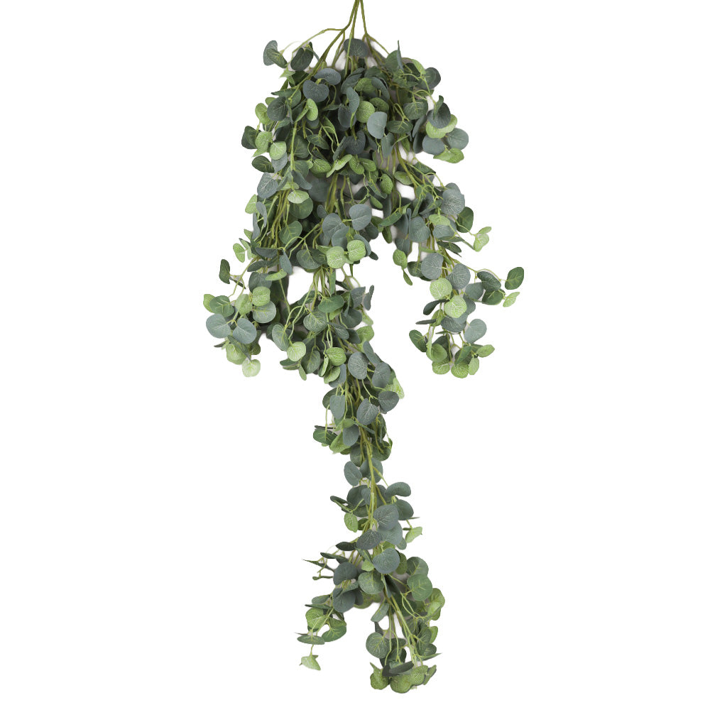 BUISSON D&