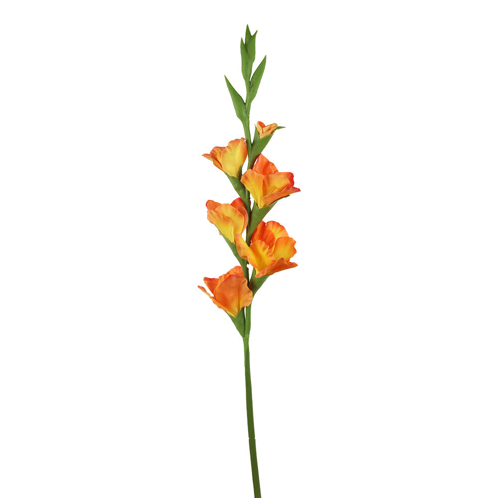 TIGE DE GLAIEUL «TOUCHER RÉEL», ORANGE/JAUNE, 34&