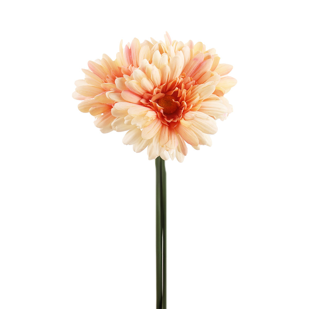 BOUQUET DE GERBERA X5 «TOUCHER RÉEL», PÊCHE, 12&