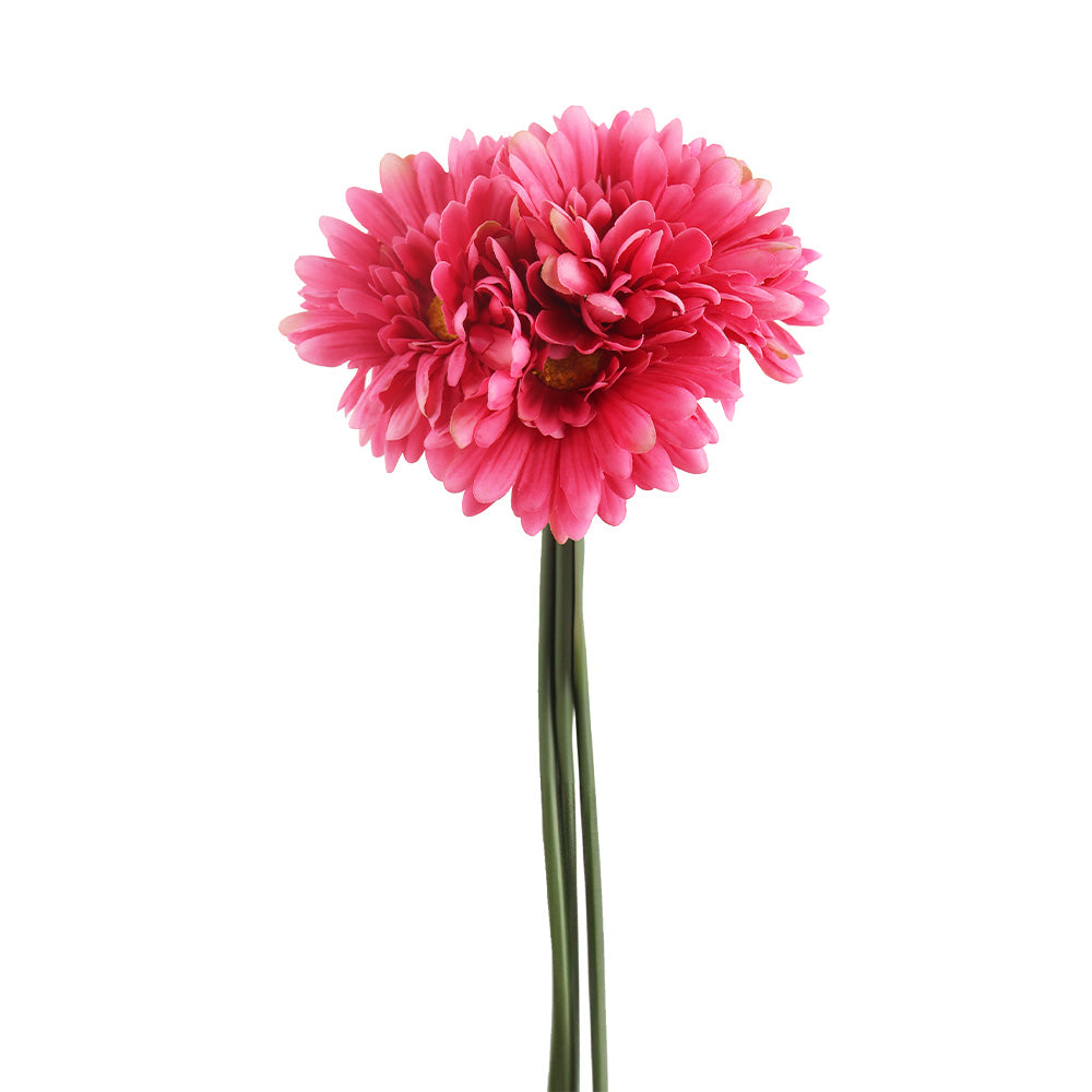 BOUQUET DE GERBERA X5 «TOUCHER RÉEL», ROSE, 12&