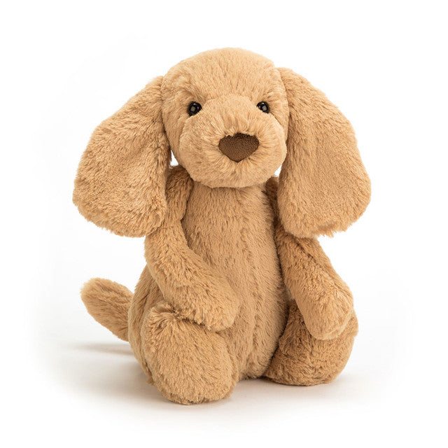 Toffee le chien