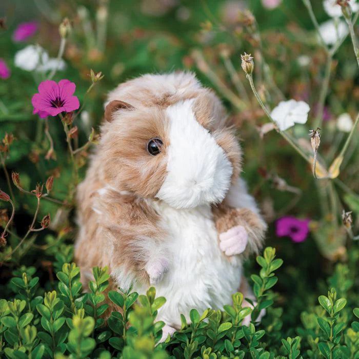 Daphne - Le Cochon d&