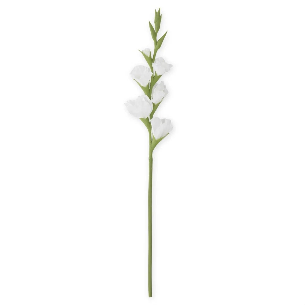 Glaeuil blanc ``Real touch``