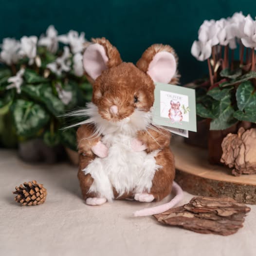 Oliver – Wood Mouse