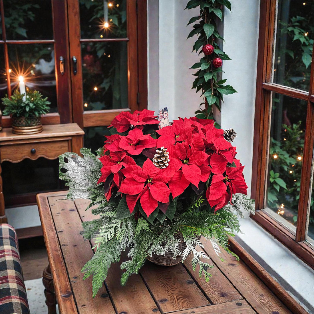 Arrangement de Poinsettias – Classique de Noël Rouge