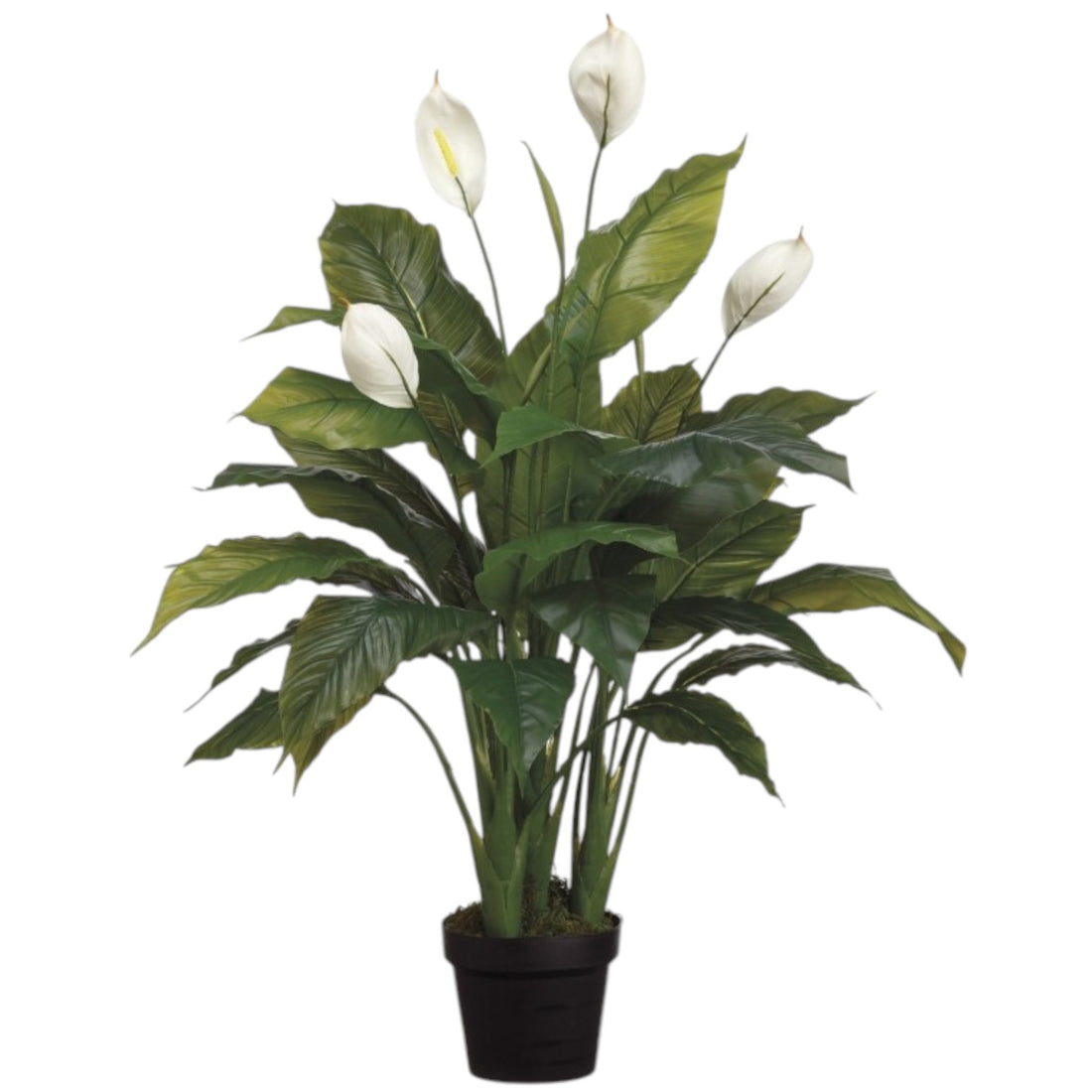 Spathiphyllum Artificiel (Lys de la paix) – 42 pouces