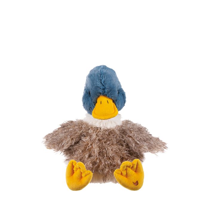 Webster - Le canard