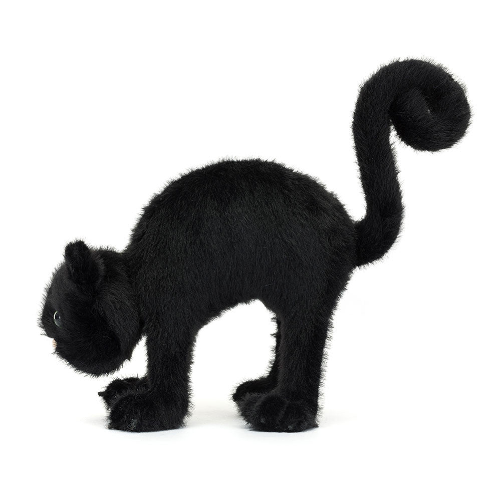 Spookipaws le Chat
