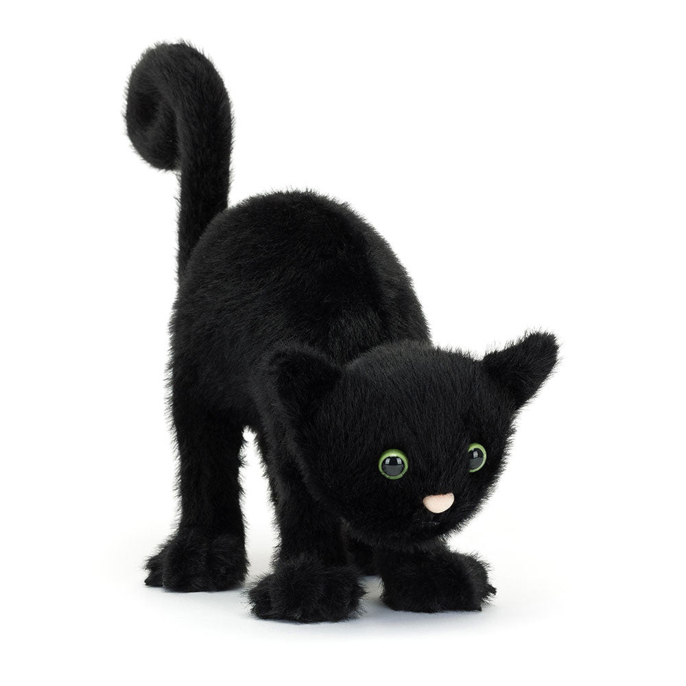 Spookipaws le Chat
