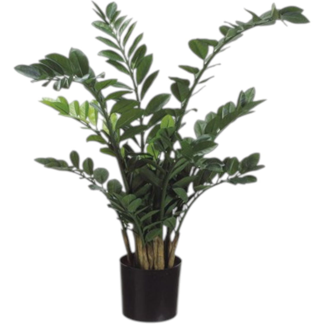 ZZ Plant Artificielle – 42 pouces