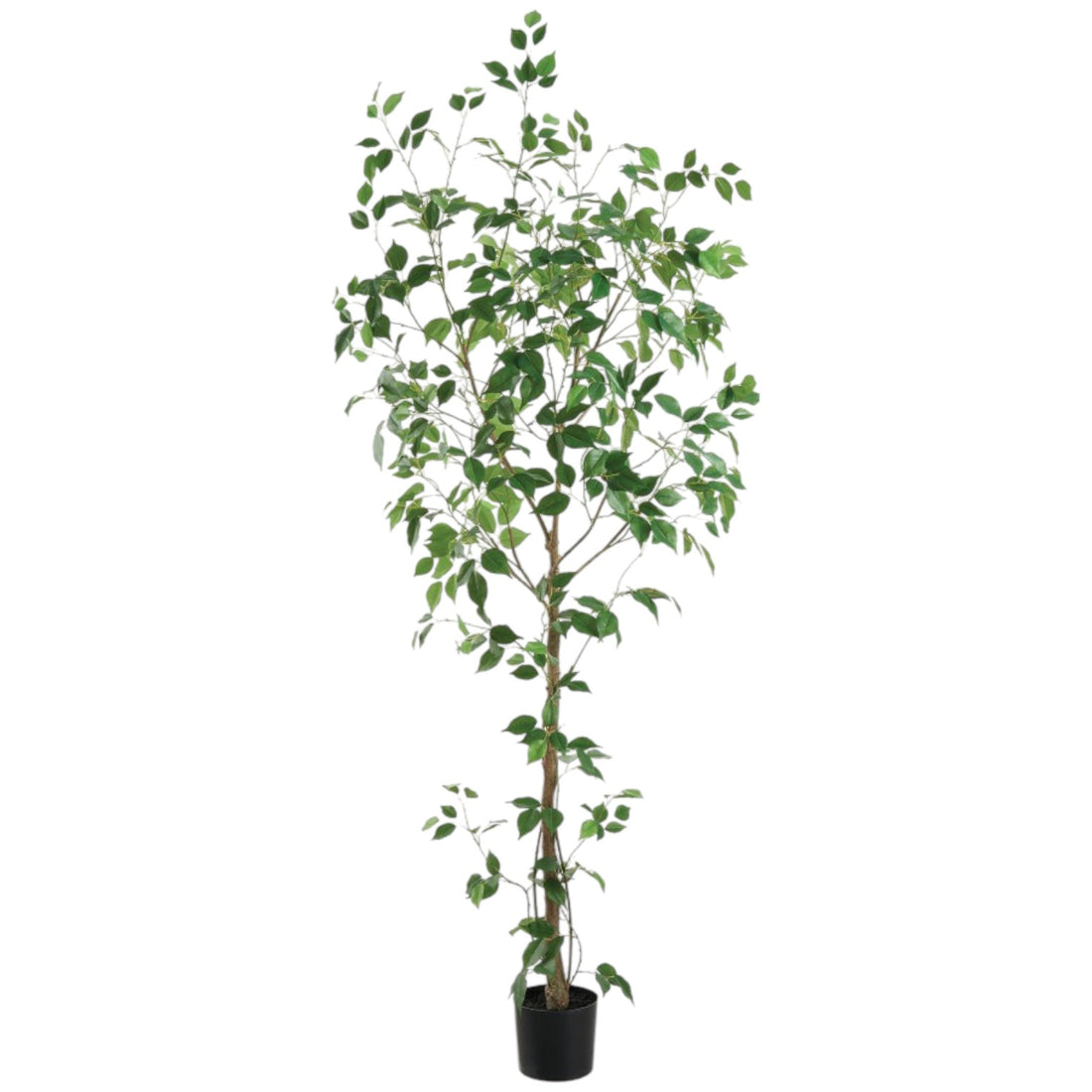 Ficus Artificiel Majestueux – 82 pouces
