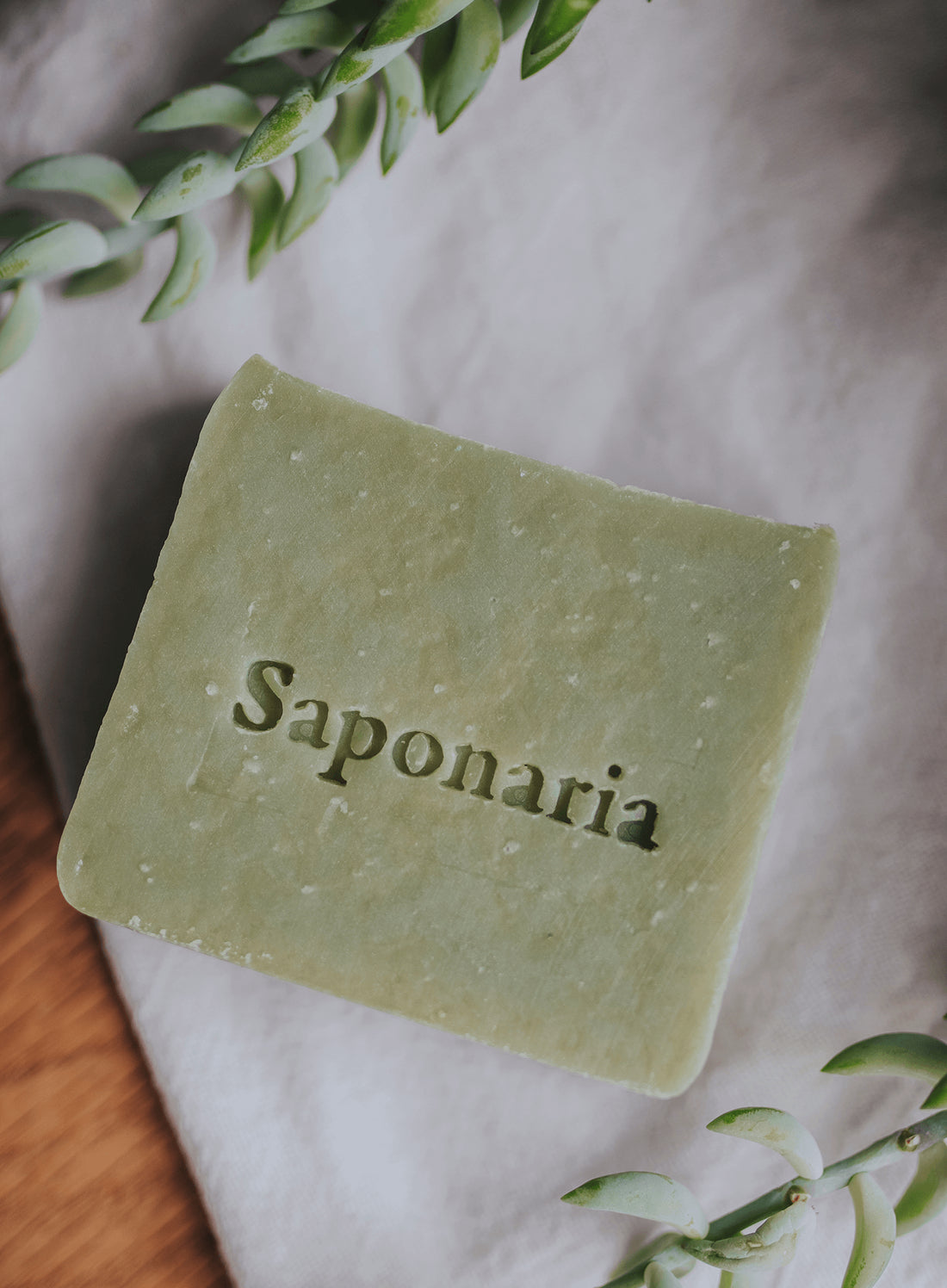 Savon – Concombre &amp; coriandre (bière)