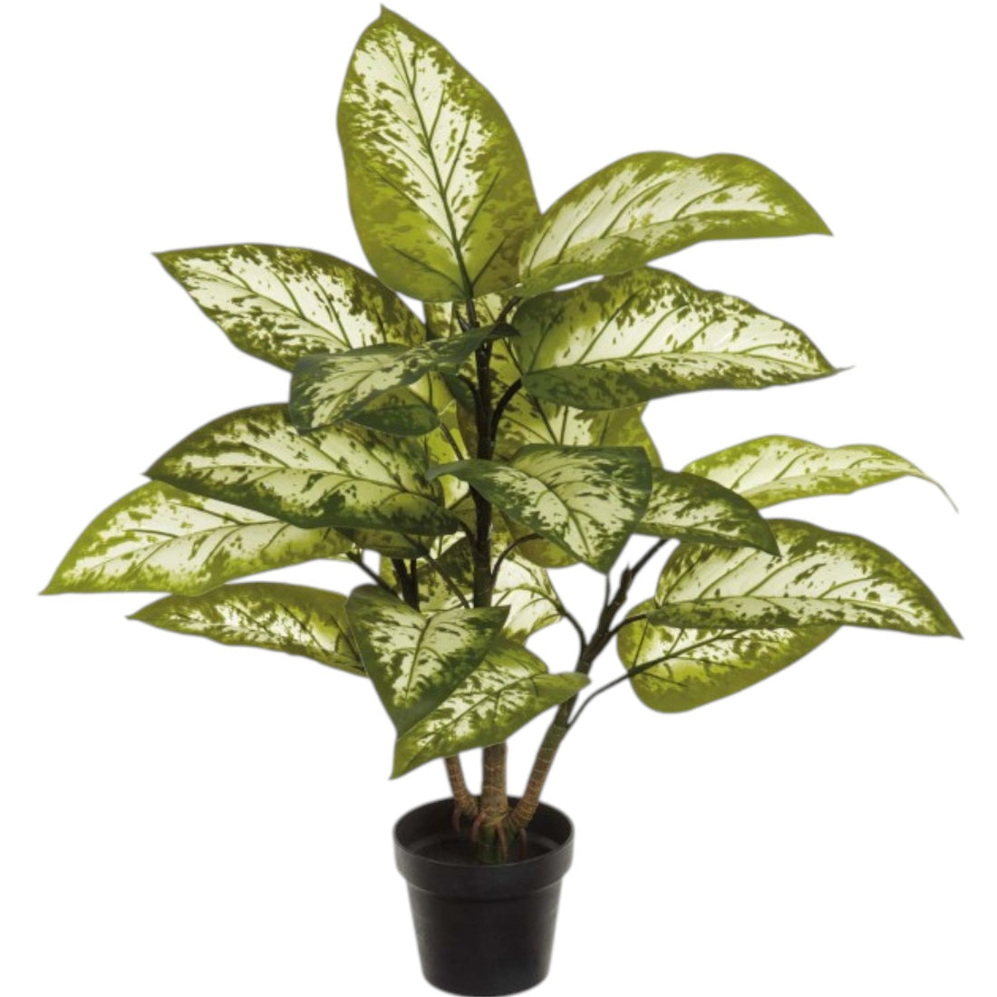Dieffenbachia Artificielle Panachée – 36 pouces