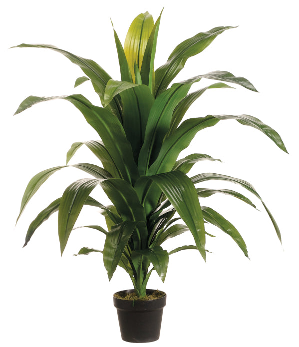 Dracaena Artificielle Tropicale – 44 pouces