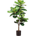 Figuier Lyre Artificiel 180 Cm – Faux Ficus Haute Densité Pour Décoration Intérieur/extérieur - 1