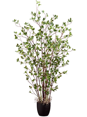 Branche Feuillue Artificielle en Pot – 6 pieds