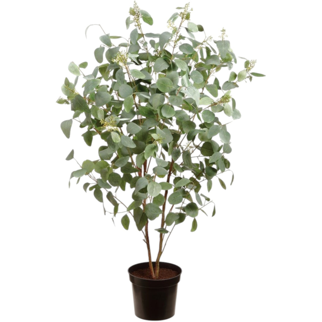 Eucalyptus Artificiel en Pot – 67 pouces