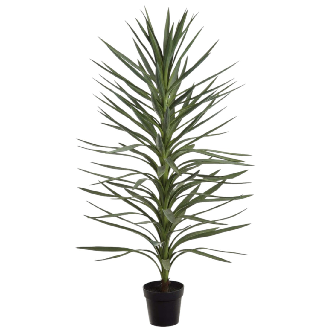 Yucca Artificiel – 54 pouces