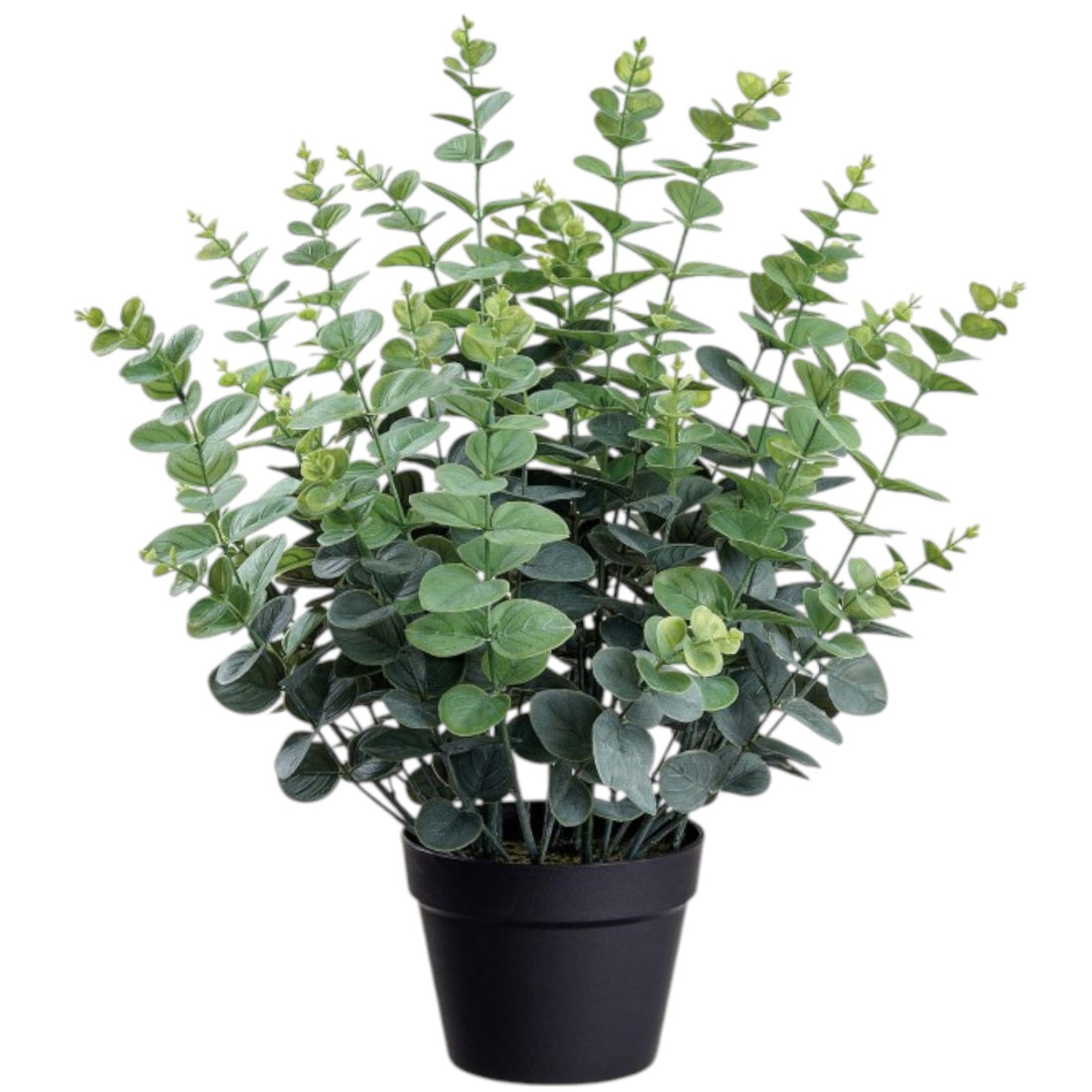 Eucalyptus Artificiel en Pot – 24 pouces