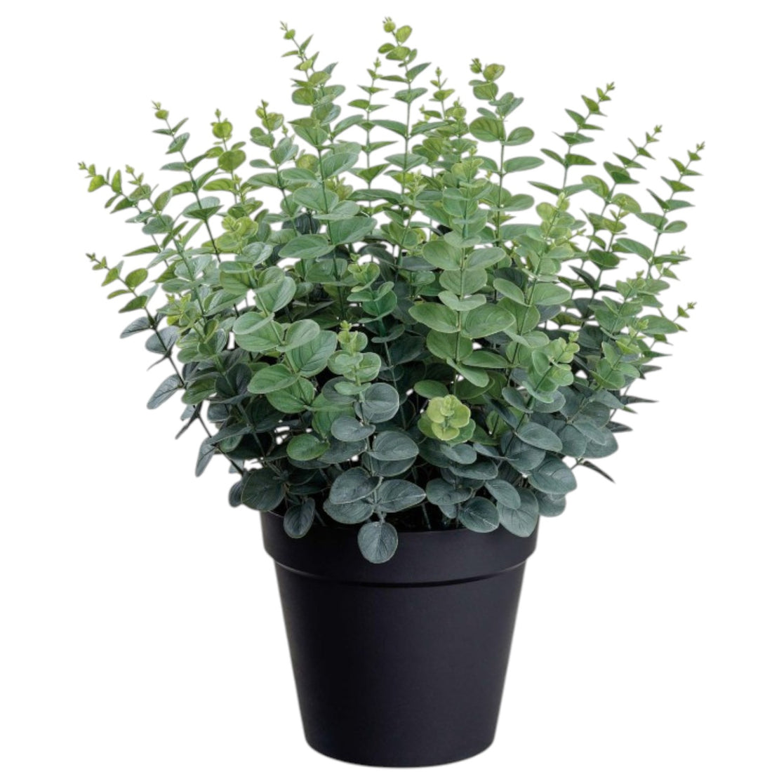 Eucalyptus Artificiel – 27 pouces