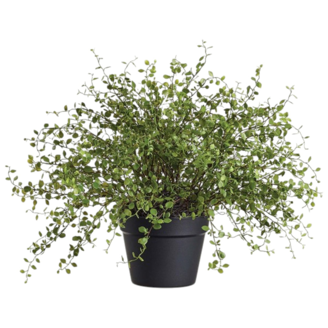 Plante Tombante Artificielle – 16 pouces