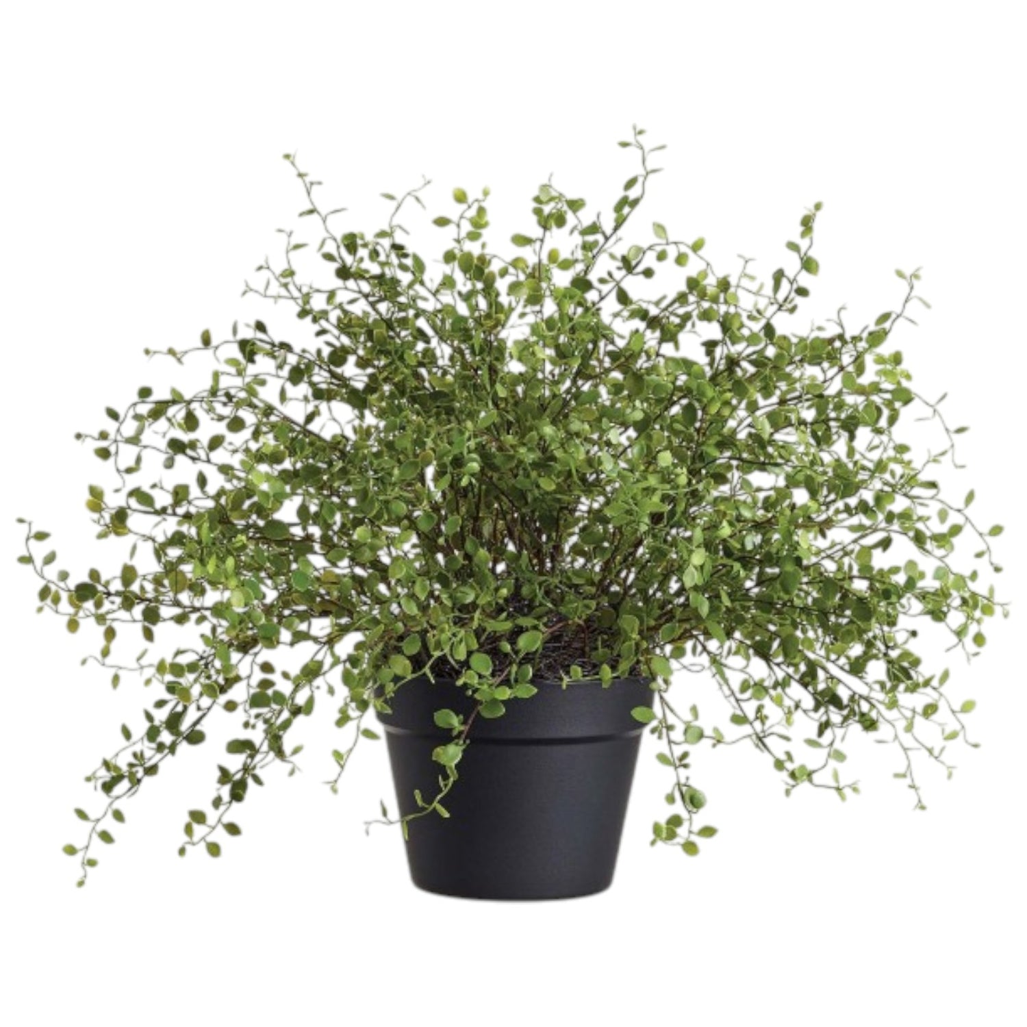 Plante Tombante Artificielle – 16 pouces
