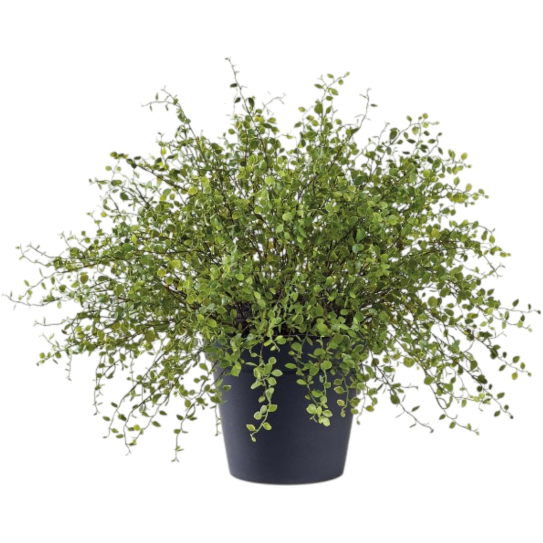 Plante Tombante Artificielle – 21 pouces